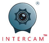 Intercam Logo